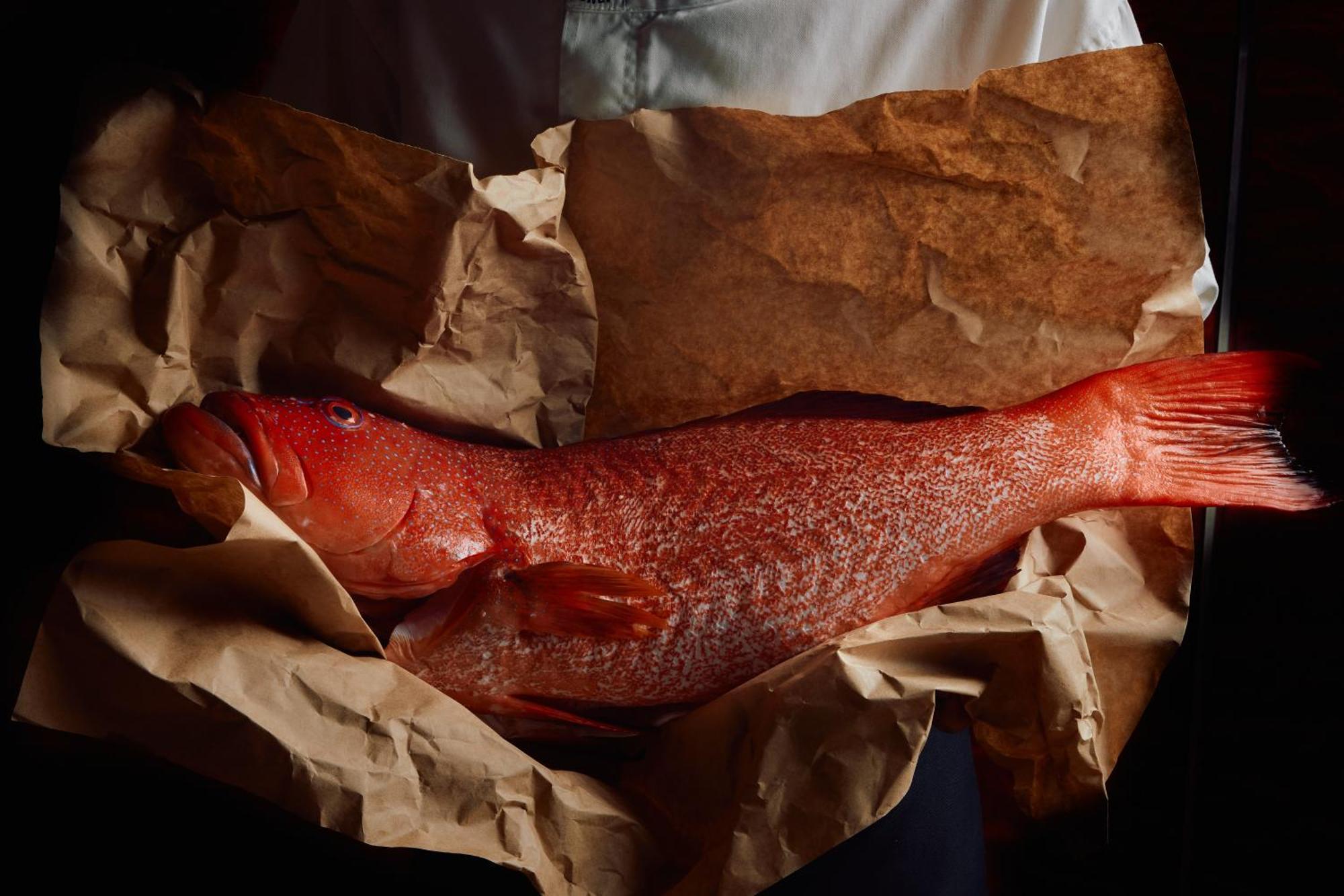 Park Hyatt Melbourne Hotel Eksteriør billede A smoked turbot